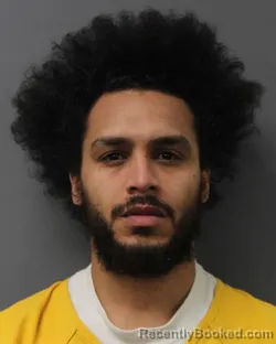 Mugshot of PEDRO MARQUEZ NAVARRO