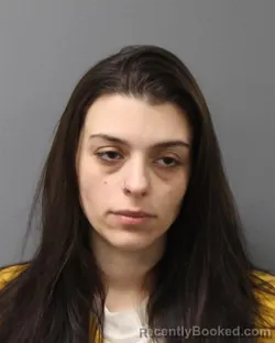 Mugshot of AMANDA STALNECKER