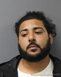 Mugshot of JOE DIAZ