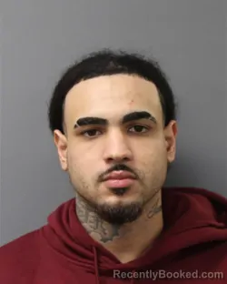 Mugshot of ANGEL FERNANDEZ