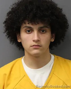 Mugshot of LLANDEL CRUZ-RODRIGUEZ