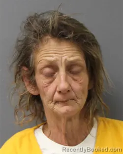 Mugshot of LORI GREEN