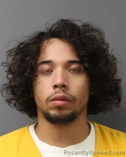 Mugshot of CHRISTIAN PERALTA