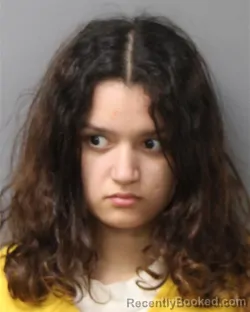 Mugshot of ALEXANDRA ZAPATA-DIAZ