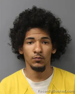 Mugshot of JAN LOPEZ