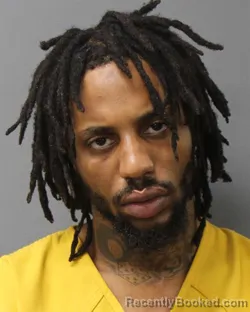 Mugshot of JAMES TYLER WEBSTER