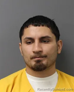 Mugshot of ALBERT TORRES-ROMAN