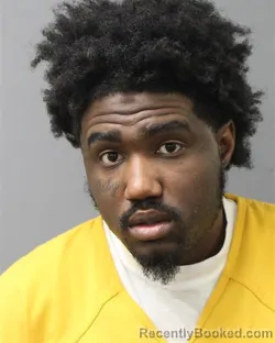 Mugshot of DEMITRI BRYAN FRANCOIS booked in Berks County, Pennsylvania on April 24, 2026