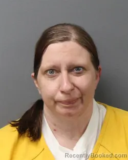 Mugshot of NICOLE LYNN MOISE booked in Berks County, Pennsylvania on April 26, 2026