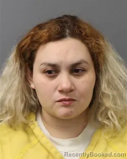 Mugshot of BRISSEIDA PALMER booked in Berks County, Pennsylvania on May 9, 2026