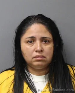 Mugshot of TANIA NATALY CHAVEZ-JARA booked in Berks County, Pennsylvania on June 11, 2026