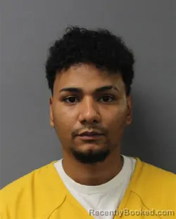 Mugshot of CLAUDIO MANUEL FANJUL-BROWN booked in Berks County, Pennsylvania on June 24, 2026