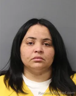 Mugshot of ALICIA PICHARDO-CASTILLO booked in Berks County, Pennsylvania on July 9, 2026