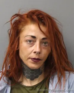 Mugshot of Natalie Marie Butler booked in Berks County, Pennsylvania on July 26, 2026