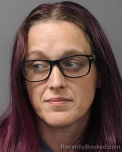 Mugshot of Deanna Andrichyn booked in Berks County, Pennsylvania on July 28, 2026