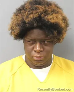 Mugshot of Deanna Holloway-Butler booked in Berks County, Pennsylvania on August 9, 2026