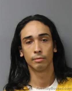 Mugshot of Luis Davi Torres-Albuez booked in Berks County, Pennsylvania on August 13, 2026