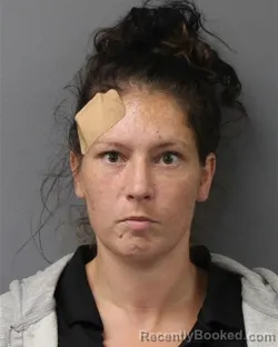 Mugshot of Rachel Kelly Schmitt booked in Berks County, Pennsylvania on September 5, 2026