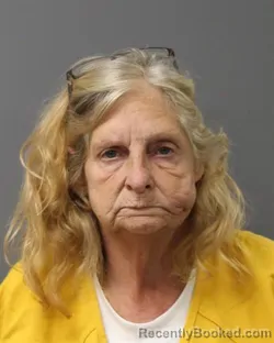 Mugshot of Joyce Ann Moyer booked in Berks County, Pennsylvania on September 23, 2026