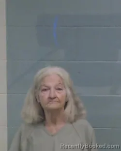 Mugshot of LINDA ANN CASE booked in Washington County, Florida on April 27, 2026