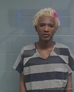 Mugshot of ELIJAH ISAIAH WELLS