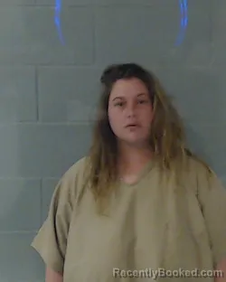 Mugshot of LAURA MARIE PERKINS