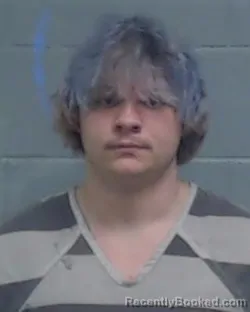 Mugshot of MEIKO CANNON AMERSON