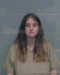 Mugshot of ALLISON KAY TIMMONS