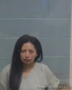 Mugshot of Maritza J Villalobos Benitez booked in Washington County, Florida on October 26, 2026