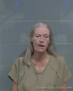 Mugshot of SUSAN DIANE HUDSPETH booked in Washington County, Florida on April 16, 2026