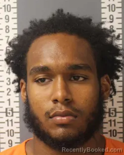 Booking photo from Dauphin County, Pennsylvania