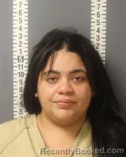 Mugshot of GRECHEEN GISELLE RAMIREZ-VILLANUEVA booked in Dauphin County, Pennsylvania on March 13, 2026