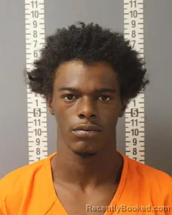 Mugshot of TIERE EVERETT booked in Dauphin County, Pennsylvania on March 22, 2026