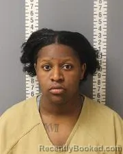 Mugshot of JAYNEISHA LYNN BASKERVILLE booked in Dauphin County, Pennsylvania on April 29, 2026