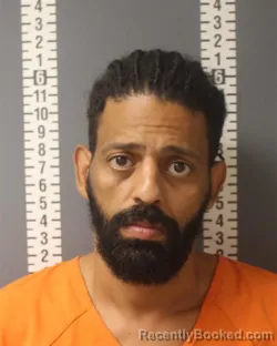 Mugshot of FATHY HASSAN ELSAYED booked in Dauphin County, Pennsylvania on March 20, 2026