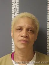 Mugshot of DELORES LESLIE WILLIAMS booked in Dauphin County, Pennsylvania on April 4, 2026