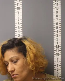 Mugshot of JENNIFER LYNN BOWERS