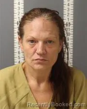 Mugshot of DIANA CHRISTINE FLANAGAN booked in Dauphin County, Pennsylvania on March 5, 2026