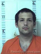 Mugshot of DAVID PAUL JANASKIE