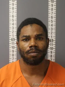 Mugshot of SHAKUR RASHAWN LANIER