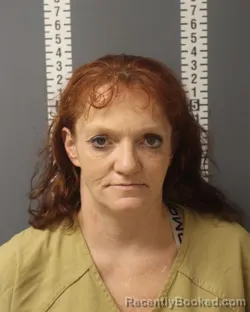 Mugshot of LAURA LYNN REEDER booked in Dauphin County, Pennsylvania on August 4, 2026
