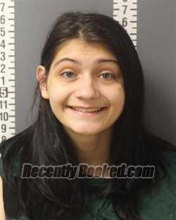 Booking photo from Dauphin County, Pennsylvania