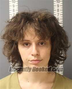 Booking photo from Dauphin County, Pennsylvania