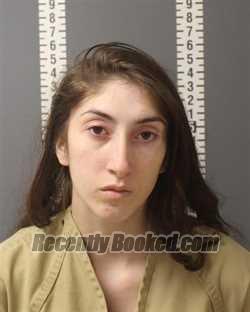 Booking photo from Dauphin County, Pennsylvania