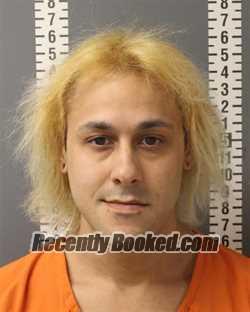 Booking photo from Dauphin County, Pennsylvania