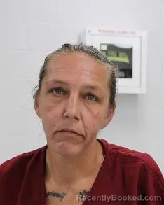 Mugshot of Tina Renee Smith booked in Fayette County, Pennsylvania on August 9, 2026