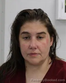 Mugshot of Diandra Roberta Disilvestro booked in Fayette County, Pennsylvania on August 6, 2026