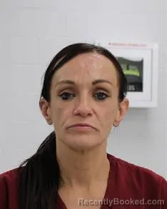 Mugshot of Donna Jo Vansickle booked in Fayette County, Pennsylvania on August 7, 2026