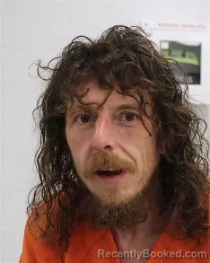 Mugshot of LEE ERIK COLDREN