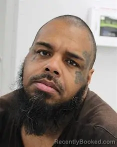 Mugshot of ROBERT MADDEN